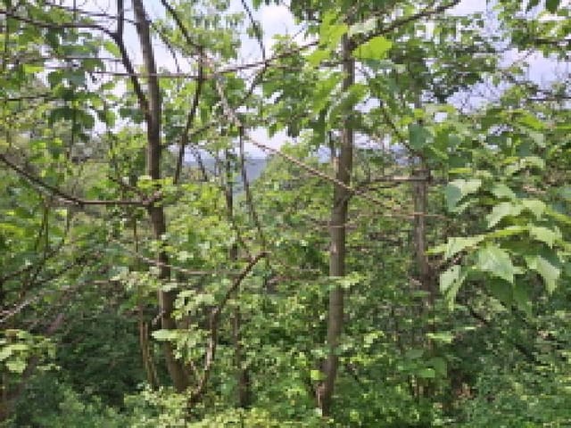 B000280202501305025144.jpg