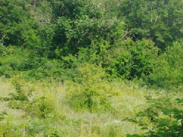B000280202501305026624.jpg