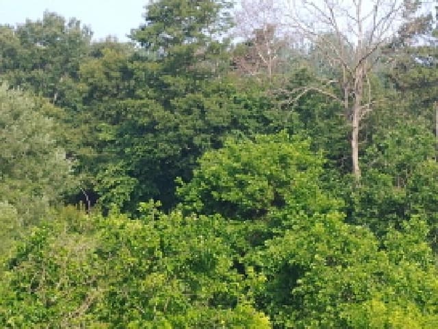 B000280202501305026623.jpg