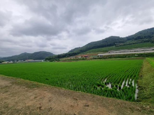 B000280202501305026743.jpg