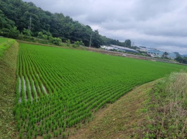 B000280202501305026741.jpg