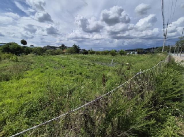 B000280202501305028762.jpg