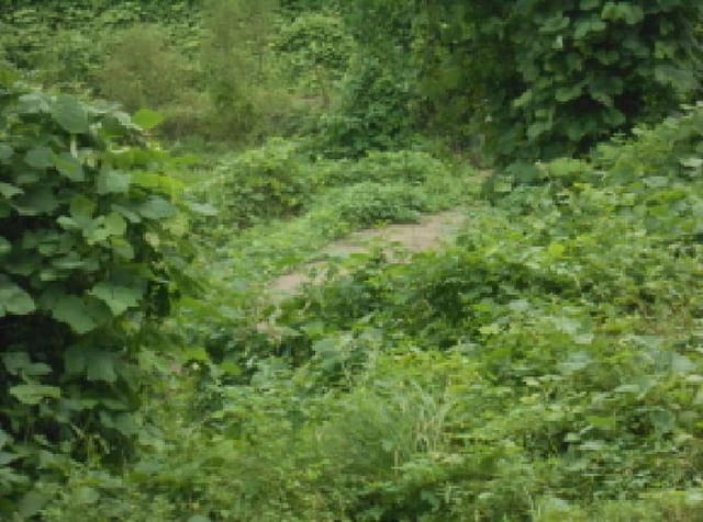 B000280202501305028862.jpg