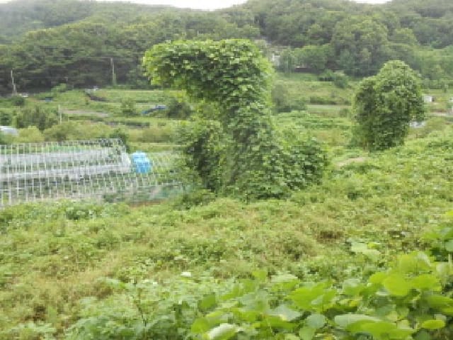B000280202501305028863.jpg