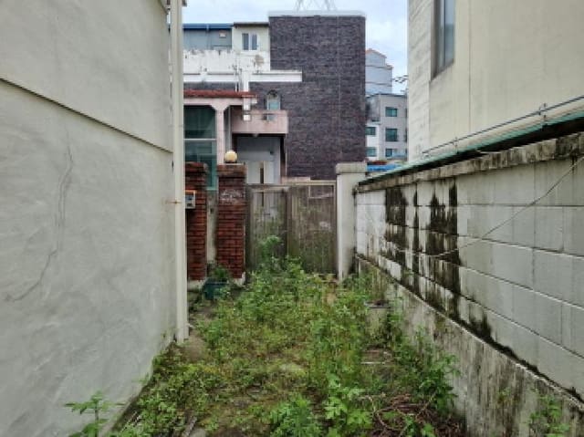 B000280202501305029392.jpg