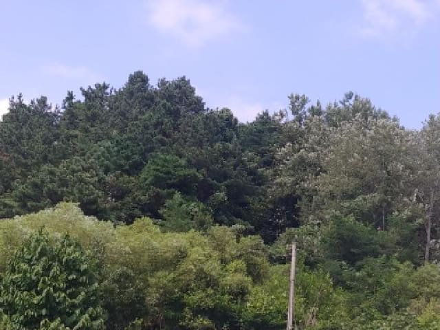 B000280202501305029532.jpg