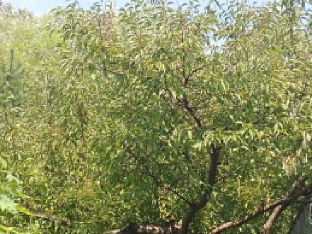 B000280202501305029534.jpg