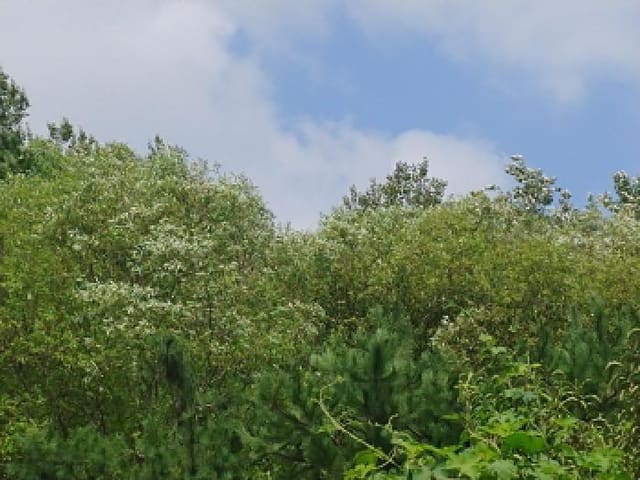 B000280202501305029533.jpg