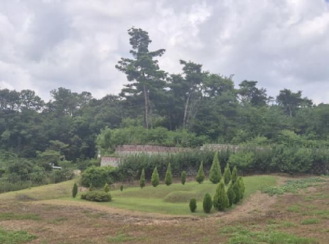 B000280202501305029611.jpg