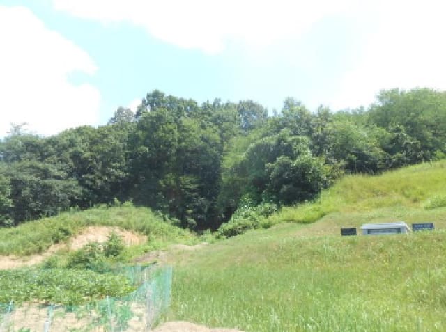 B000280202501305030351.jpg