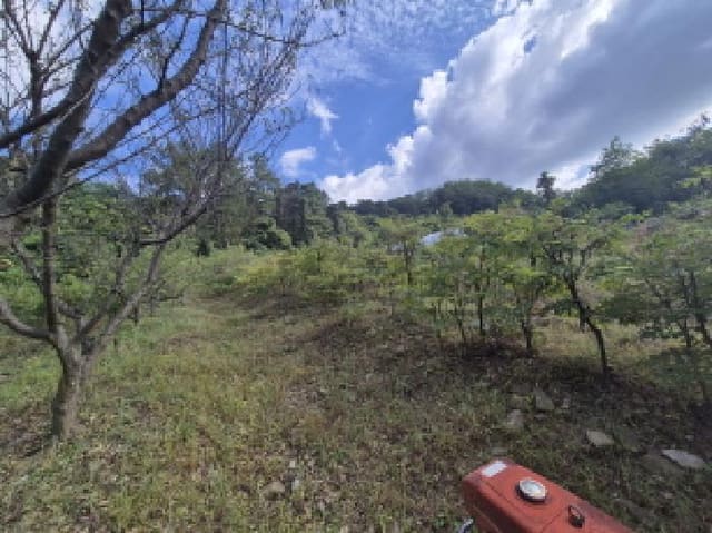 B000280202501305031123.jpg