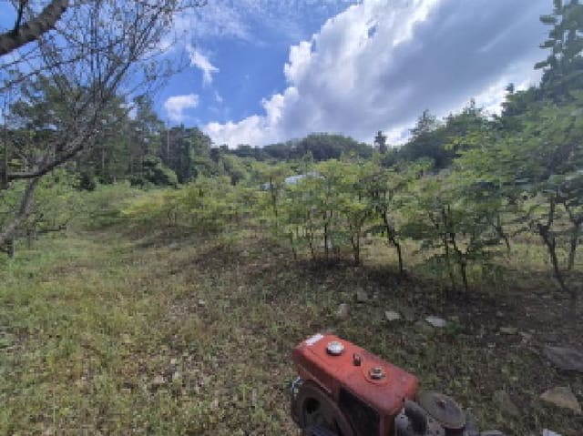 B000280202501305031122.jpg