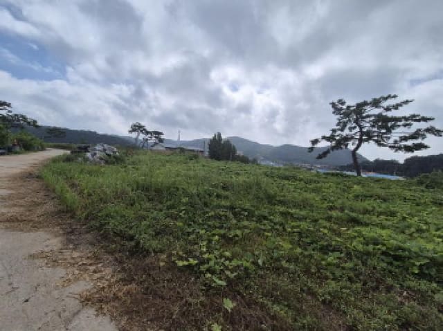 B000280202501305031272.jpg