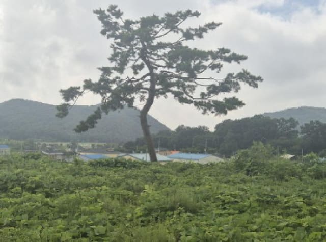 B000280202501305031274.jpg