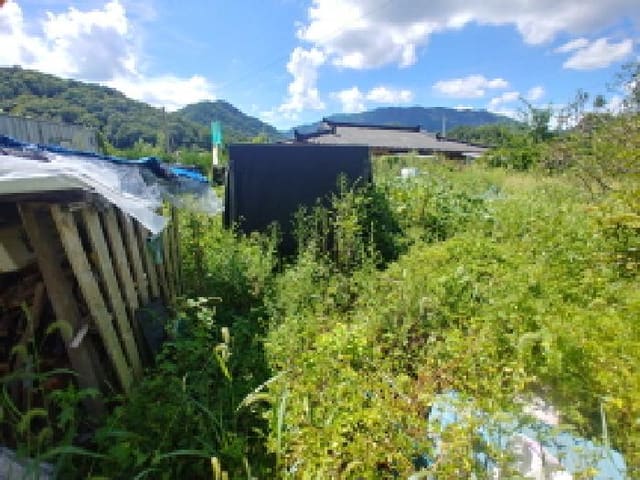 B000280202501305031462.jpg
