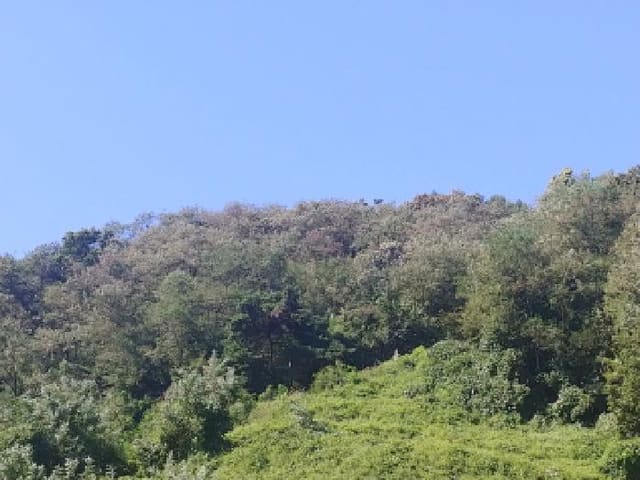 B000280202501305032334.jpg