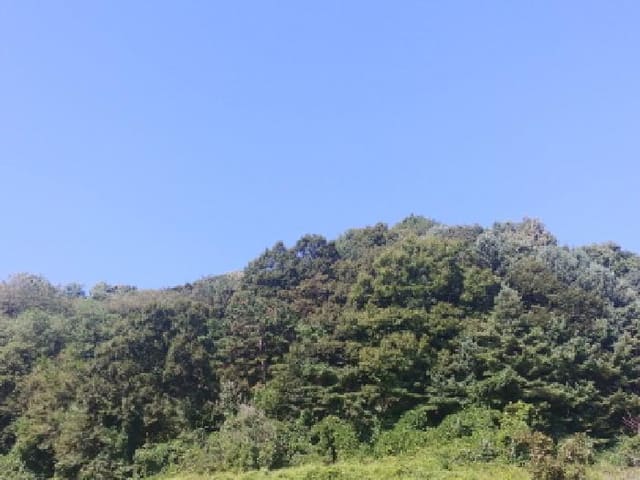 B000280202501305032333.jpg