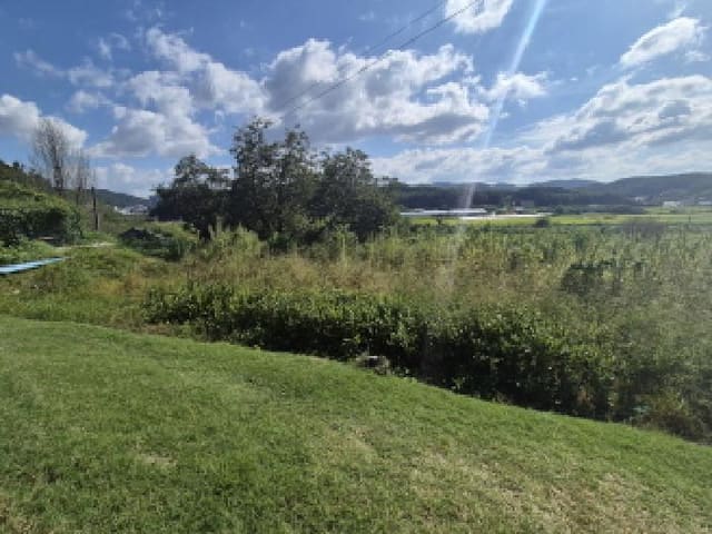 B000280202501305033194.jpg