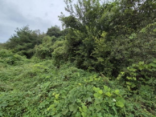 B000280202501305033852.jpg