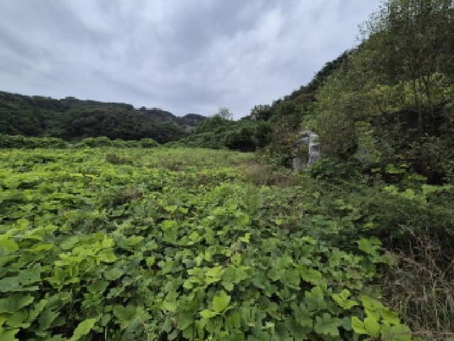 B000280202501305033853.jpg