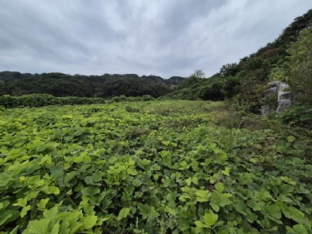 B000280202501305033854.jpg