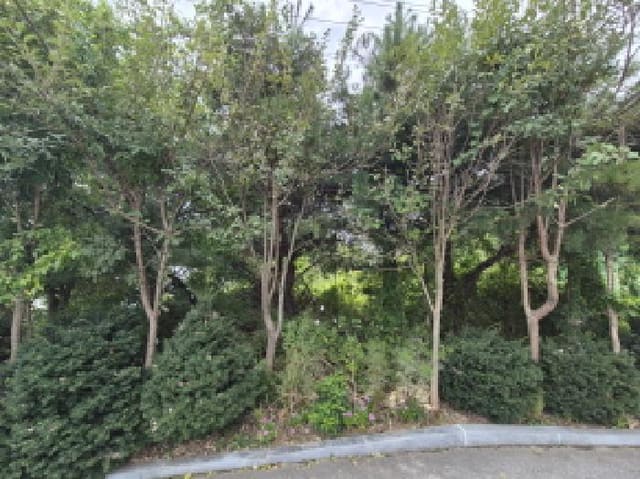 B000280202501305033873.jpg