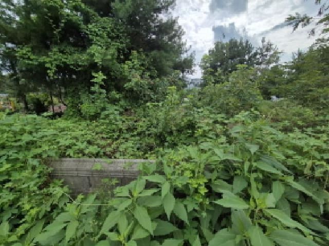 B000280202501305033874.jpg