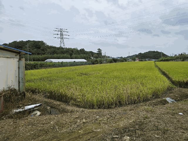 B000280202501305033982.jpg
