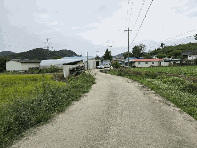 B000280202501305033983.jpg