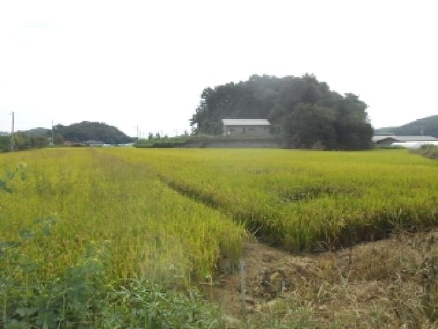 B000280202501305033981.jpg