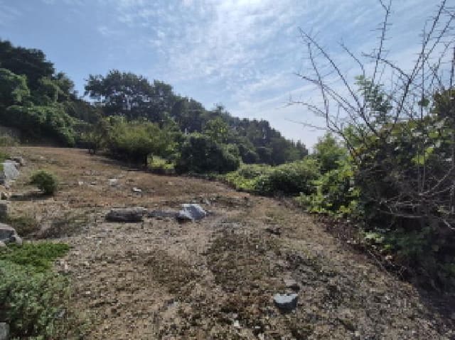 B000280202501305034442.jpg