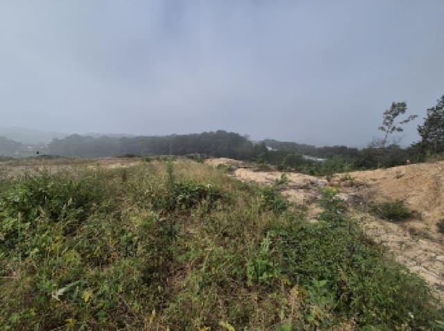 B000280202501305034501.jpg