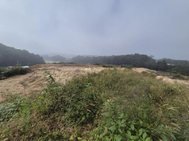 B000280202501305034502.jpg