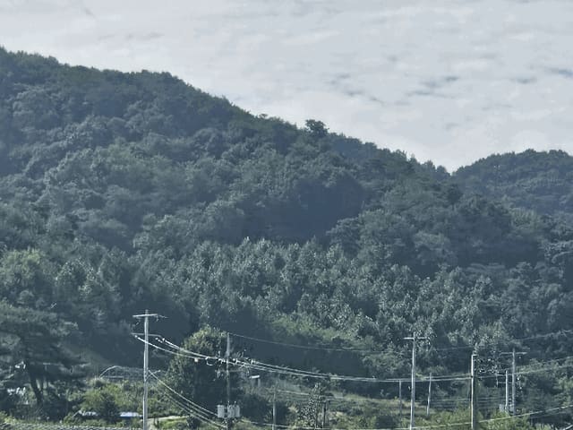 B000280202501305034584.jpg