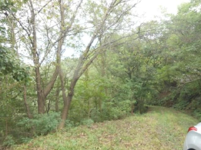 B000280202501305034582.jpg