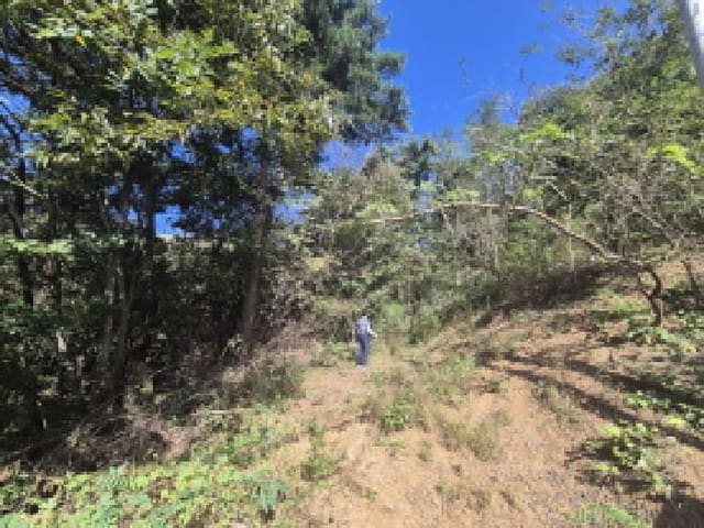 B000280202501305034922.jpg