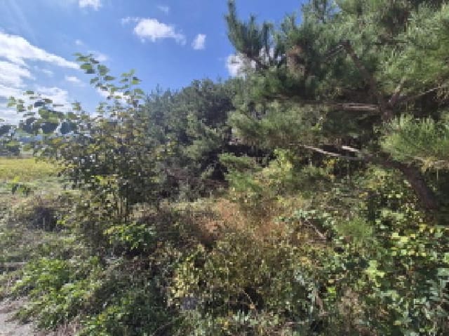 B000280202501305035474.jpg