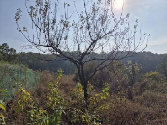 B000280202501305036214.jpg