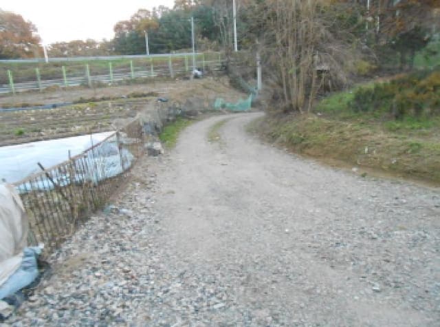 B000280202501305037331.jpg