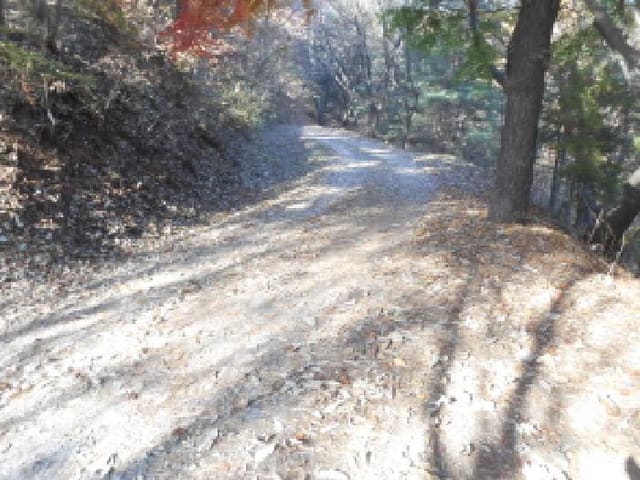 B000280202501305037544.jpg