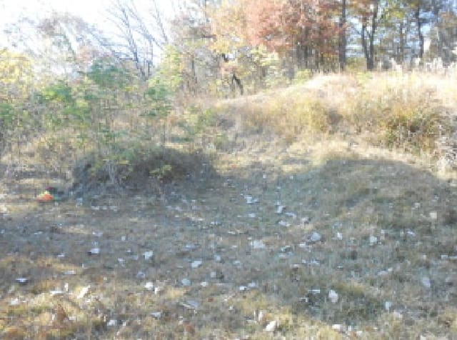 B000280202501305037542.jpg