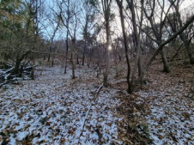 B000280202501305038642.jpg