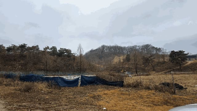 B000280202501305040562.jpg