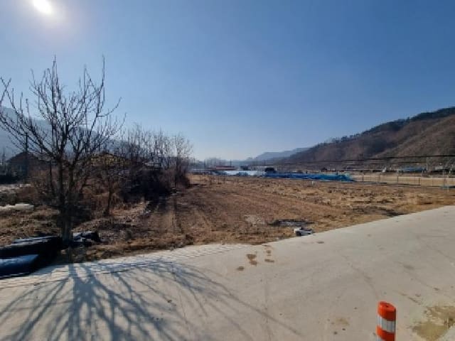 B000280202601300000603.jpg