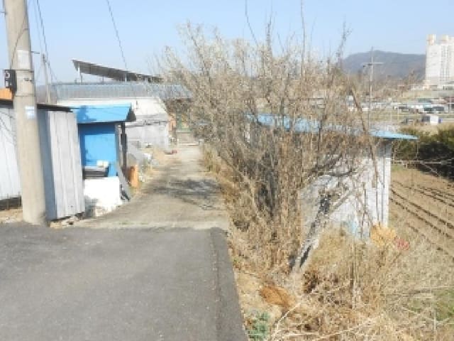 B000280202601300001864.jpg