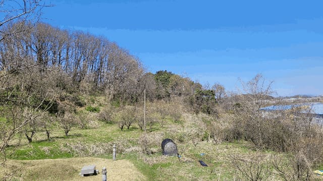 B000280202601300001902.jpg