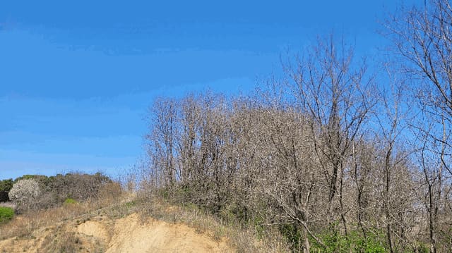 B000280202601300001904.jpg