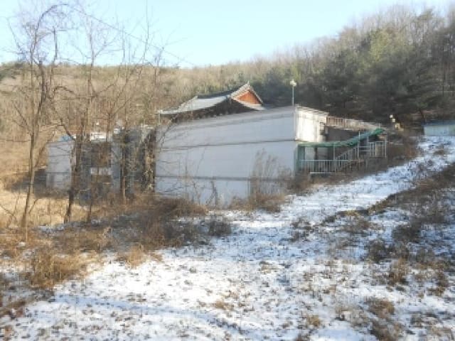 B000280202601306000724.jpg