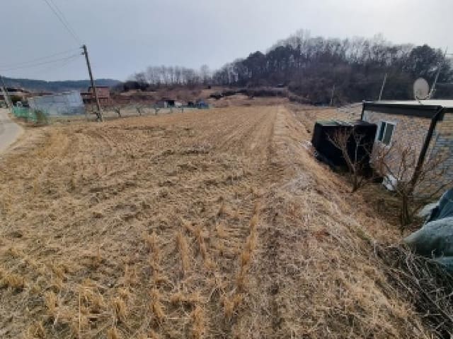 B000280202601306001444.jpg