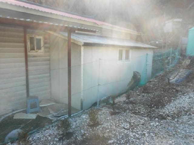B000280202601306003052.jpg